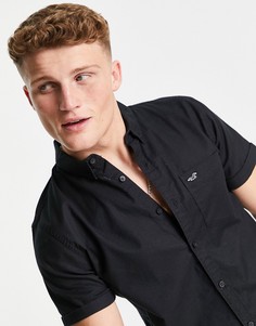 Черная рубашка узкого кроя с короткими рукавами и логотипом Hollister-Черный цвет