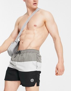 Черные шорты для плавания в стиле колор-блок Jack & Jones Intelligence-Черный цвет