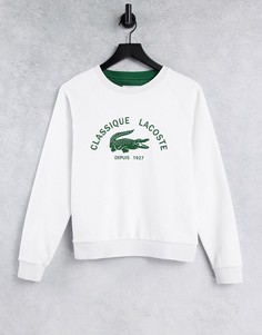 Белый свитшот с логотипом Lacoste classic