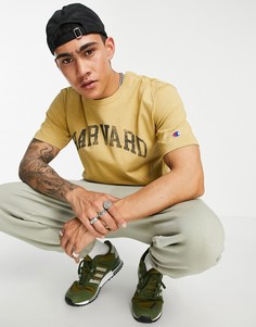 Светло-коричневая футболка с логотипом Champion Reverse Weave Harvard-Светло-бежевый