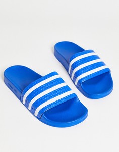 Голубые шлепанцы adidas Originals adilette-Голубой