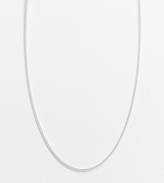 Серебряное ожерелье-цепочка с плетением с круглым сечением Kingsley Ryan-Серебристый