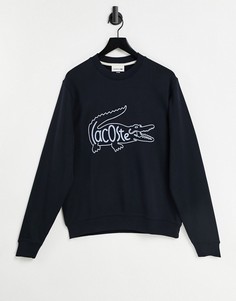 Темно-синий свитшот с круглым вырезом и надписью внутри крокодила Lacoste