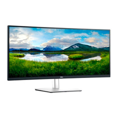 Монитор Dell P3421W Silver (3421-9534)