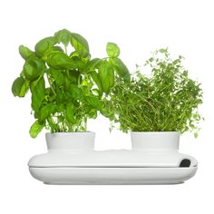 Sagaform Двойной горшок для зелени Herb, 26х12х7 см 5015859