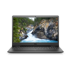 Ноутбук Dell Inspiron 3501 Black (3501-8229)