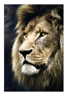 Пазл Trefl 1500 деталей