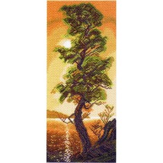 Канва с рисунком Матренин посад Байкальский кедр, 24*47 см 1308