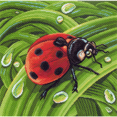 Канва с рисунком Матренин посад Божья коровка41*41см 1383