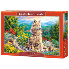 Пазл Castorland Молодое поколение, 1000 эл. С-104420