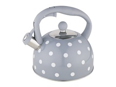Чайник Webber BE-0576 2.7L