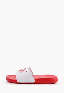 Сланцы PUMA