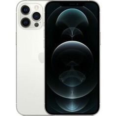 Смартфон Apple iPhone 12 Pro Max 256Gb silver