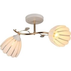 Люстра потолочная Imex MD.2915-2-S FGD+WH 2*60Вт E27