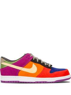 Nike кроссовки Dunk Premium Low SP Viotech 2019