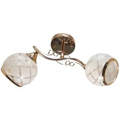 Люстра потолочная JUPITER LIGHTING N10-3064/2, E27, 2х60 Вт