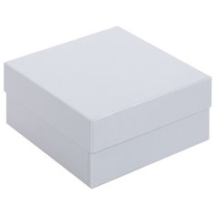 Коробка Satin, малая, серебристая Проект 111