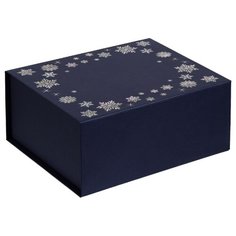 Коробка North Stars, M, синяя Проект 111