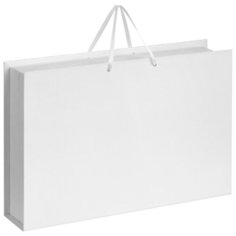 Коробка Блеск под набор, белая Проект 111