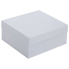 Коробка Satin, большая, серебристая Проект 111