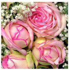 Paper + Design GmbH tabletop / Салфетки бумажные Королевский цветок 3-х слойные, 33х33, 20 шт/уп.ГЕРМАНИЯ Paper+Design