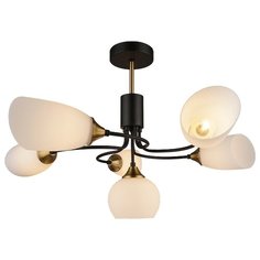 Люстра потолочная 6*60Вт E27 MD.3862-6-S-BK+CP Imex