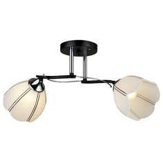 Люстра потолочная 2*60Вт E27 MD.QH-0066-2-BK Imex