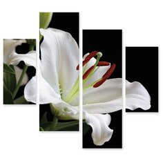 Модульная картина на холсте "Белая лилия" 120x112 см Modulka.Ru