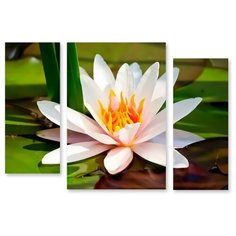 Модульная картина на холсте "Белая кувшинка" 170x120 см Modulka.Ru