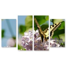 Модульная картина на холсте "Бабочка" 150x89 см Modulka.Ru