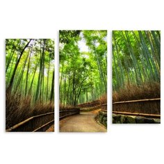 Модульная картина на холсте "Бамбуковая дорога" 170x108 см Modulka.Ru