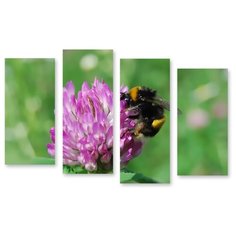 Модульная картина на холсте "Шмель" 120x80 см Modulka.Ru