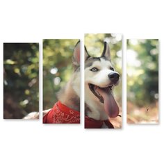 Модульная картина на холсте "Веселый хаски" 150x100 см Modulka.Ru