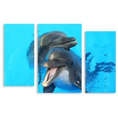Модульная картина на холсте "Дельфины" 90x59 см Modulka.Ru
