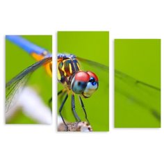 Модульная картина на холсте "Стрекоза" 90x62 см Modulka.Ru