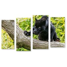 Модульная картина на холсте "Черная охотница" 120x75 см Modulka.Ru
