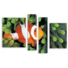 Модульная картина на холсте "Рыбка" 150x100 см Modulka.Ru