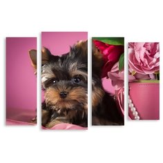 Модульная картина на холсте "Йорк" 150x104 см Modulka.Ru