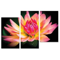 Модульная картина на холсте "Георгин" 90x62 см Modulka.Ru