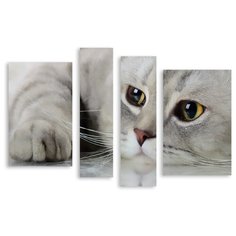 Модульная картина на холсте "Грустный котик" 90x62 см Modulka.Ru