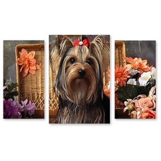 Модульная картина на холсте "Забавный йорк" 120x74 см Modulka.Ru