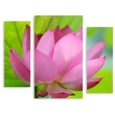 Модульная картина на холсте "Роскошный лотос" 120x99 см Modulka.Ru