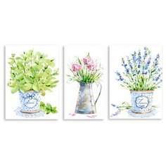 Модульная картина на холсте "Гербарий" 170x86 см Modulka.Ru