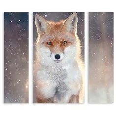 Модульная картина на холсте "Старый лис" 120x108 см Modulka.Ru