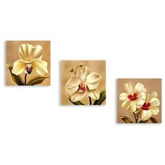Модульная картина на холсте "Орхидеи" 170x105 см Modulka.Ru