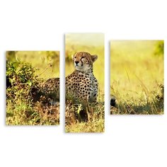 Модульная картина на холсте "Хитрый леопард" 170x115 см Modulka.Ru