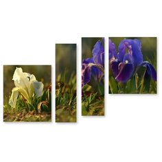 Модульная картина на холсте "Ирисы на поляне" 150x91 см Modulka.Ru