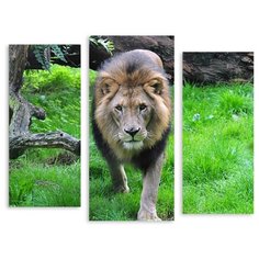 Модульная картина на холсте "Лев" 170x137 см Modulka.Ru