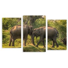 Модульная картина на холсте "Игра слонов" 120x72 см Modulka.Ru