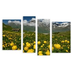 Модульная картина на холсте "Лютики в Альпах" 120x75 см Modulka.Ru